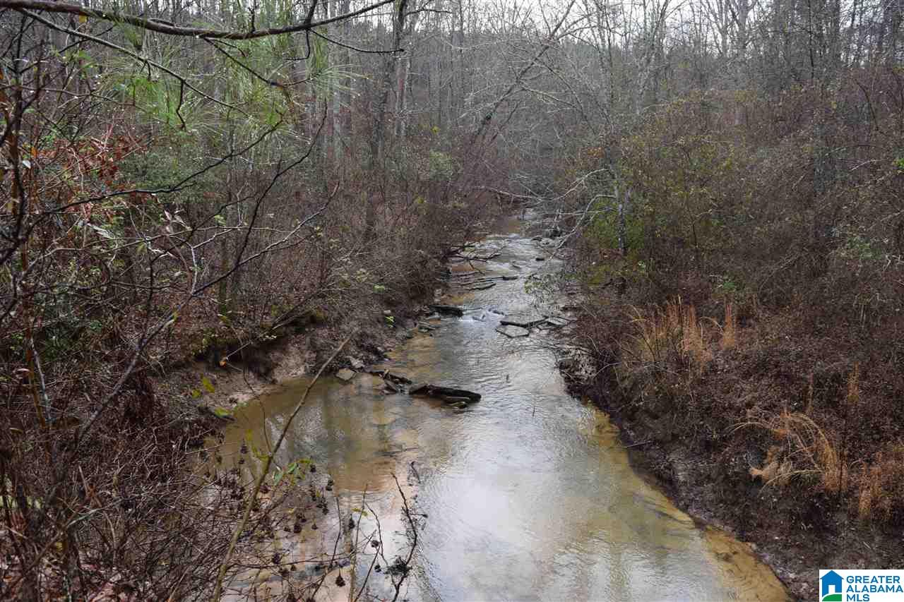 Lot 11 Winding Creek Road, Unit LOT 11 Arley, AL 35541 - Photo 4 of 5