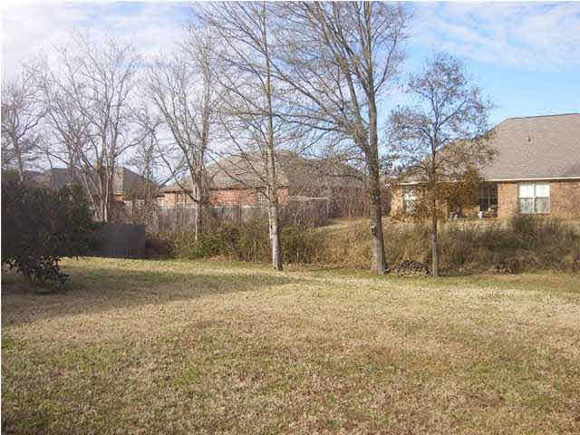 167 Bradfield Road Madison, MS 39110 - Photo 18 of 18 Backyard