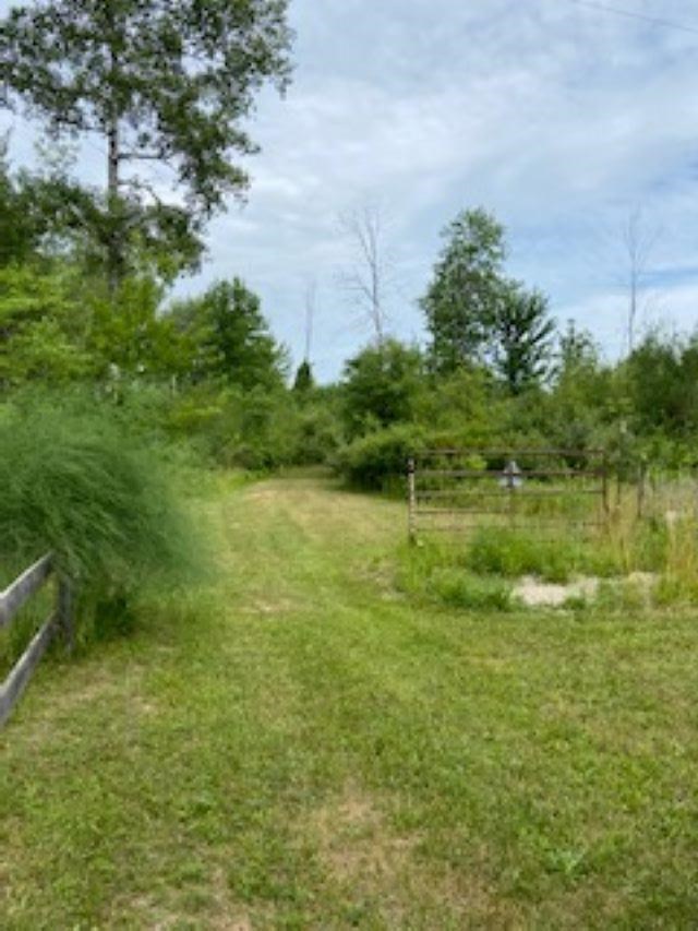 Bard Road Coleman, MI 48618 - Photo 3 of 5