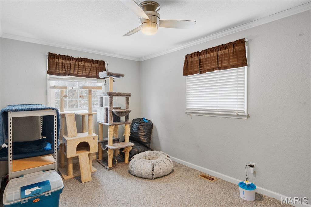 393 Martin Field Court Villa Ridge, MO 63089 - Photo 22 of 33