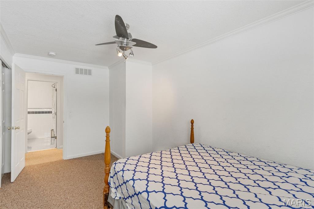 393 Martin Field Court Villa Ridge, MO 63089 - Photo 27 of 33