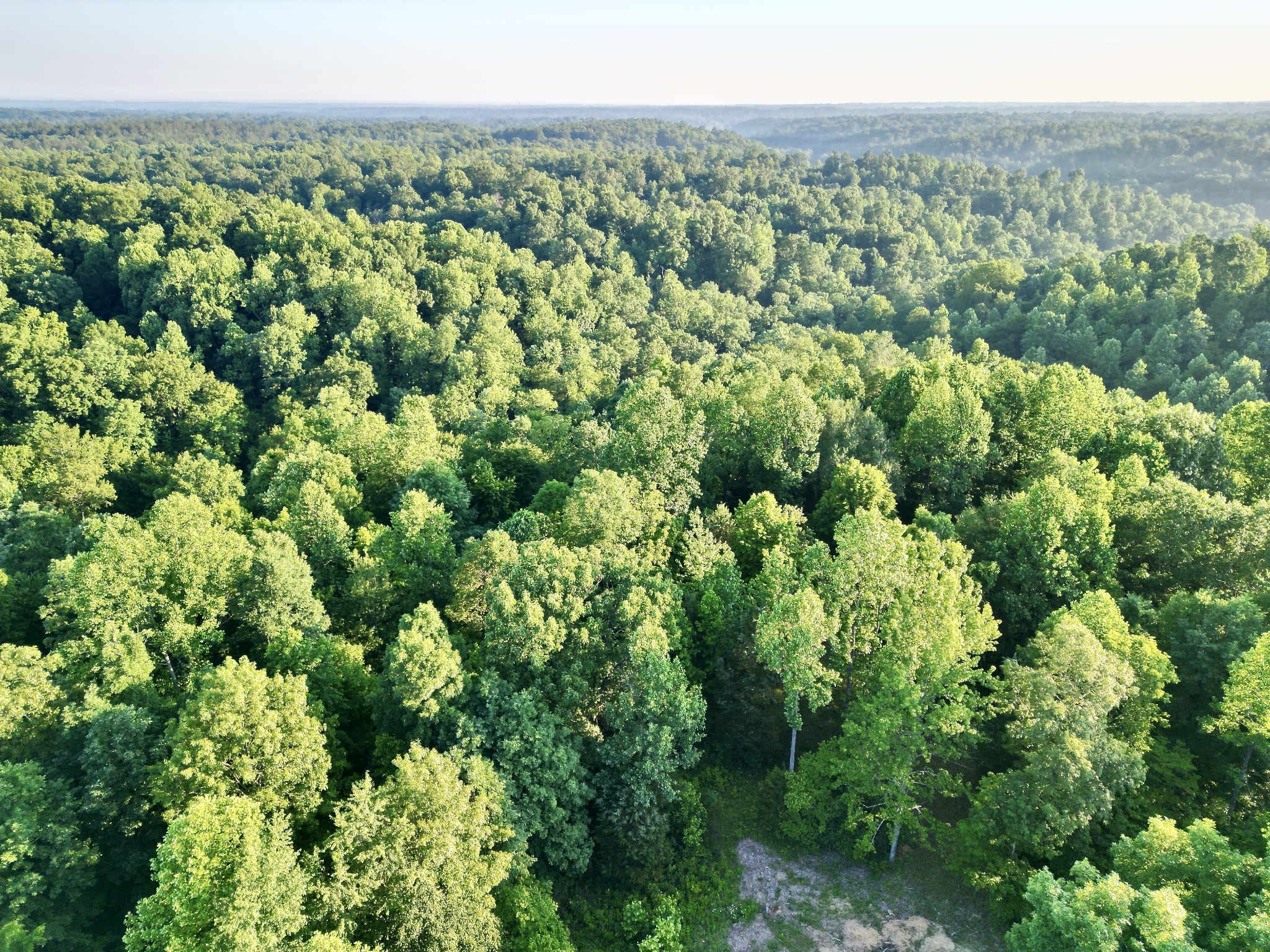 2870 Morgan Road Joelton, TN 37080 - Photo 10 of 22 Gallery Image 10