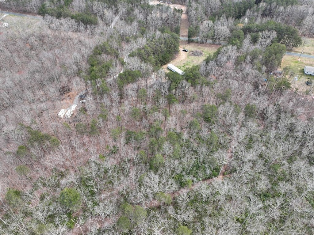 Hixburg Road Pamplin, VA 23958 - Photo 9 of 20 Gallery Image 9