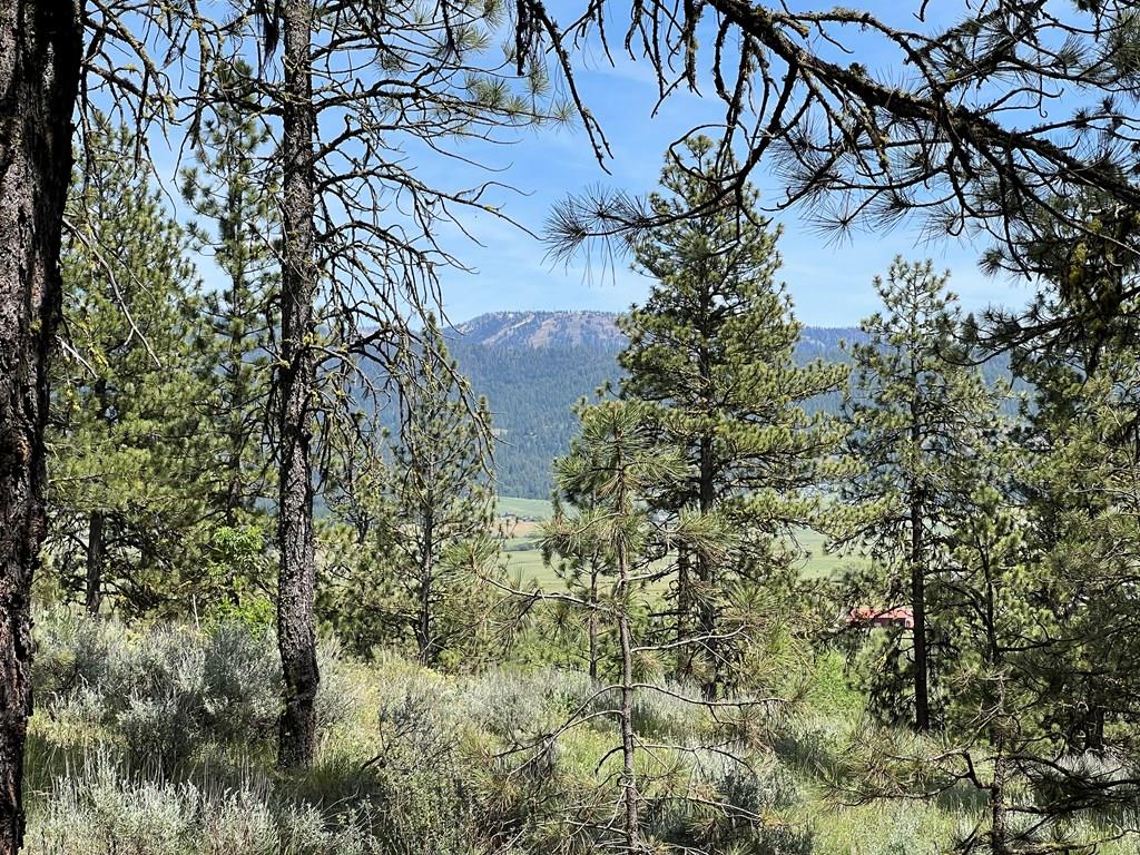 B22-l13 Vardon Road, Unit 13 New Meadows, ID 83654 - Photo 1 of 16 Main View