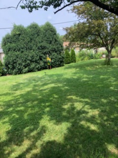 Undisclosed Address Addison, IL 60101 - Photo 14 of 16