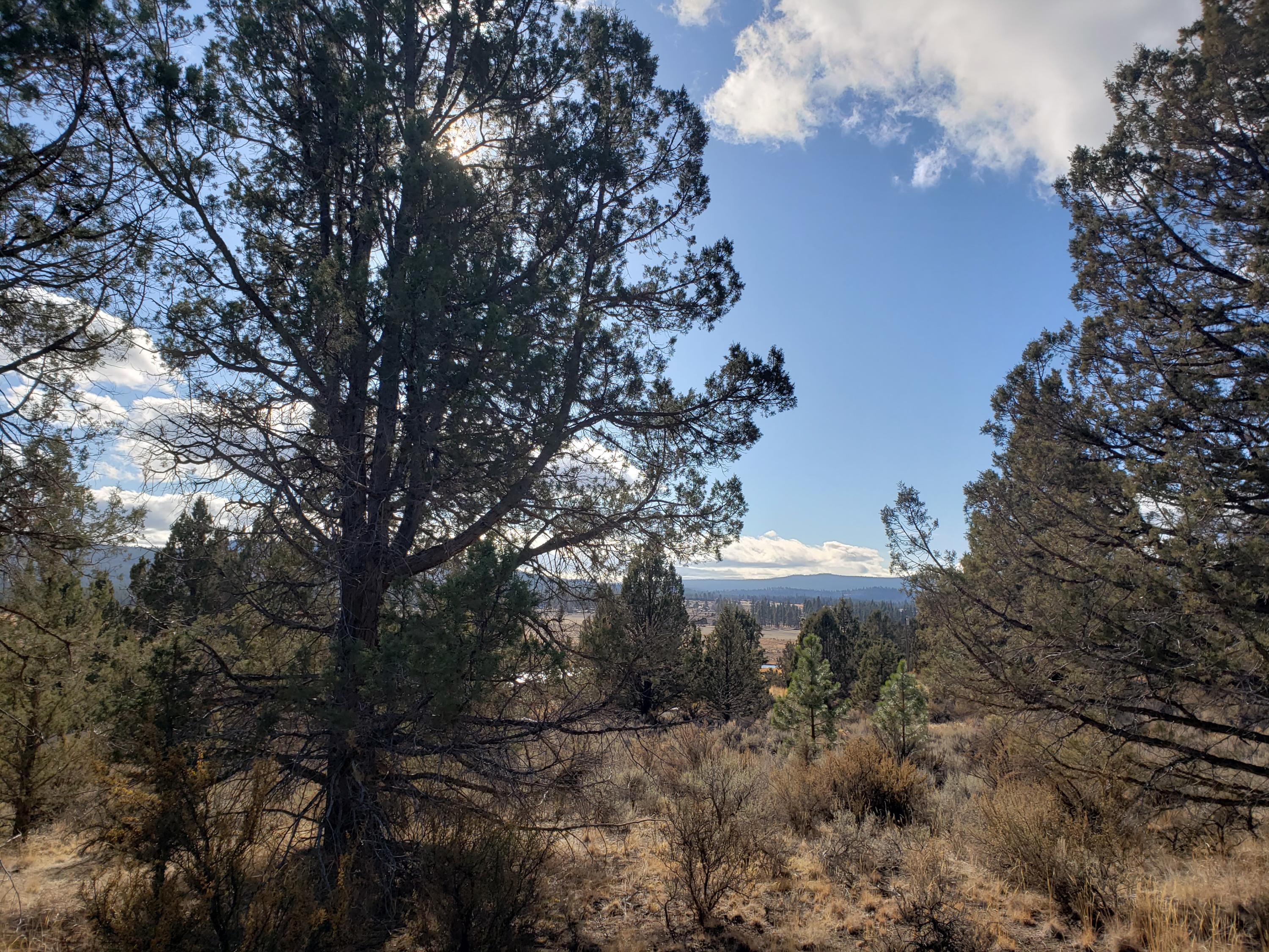 37 Drews Ranch Road Chiloquin, OR 97624 - Photo 7 of 16 20201110_133712