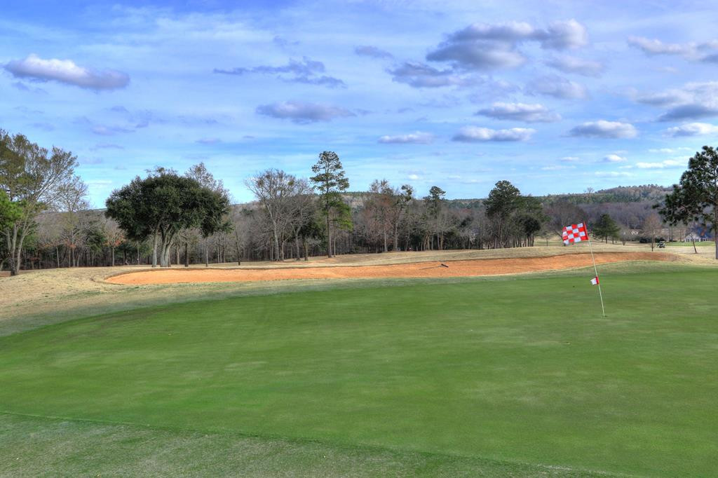 1445 Raccoon Road Sumter, SC 29154 - Photo 51 of 56 Gallery Image 51