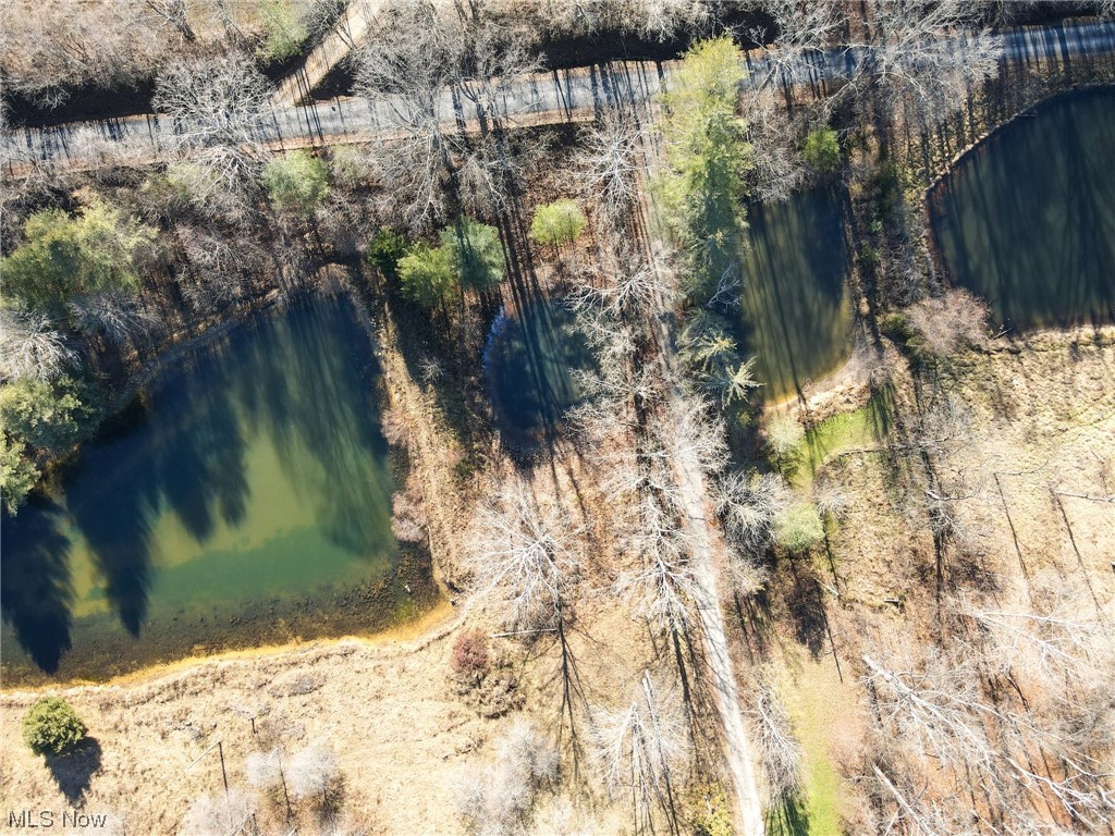 2106 Crabtree Road Albany, OH 45710 - Photo 40 of 50 Birds eye view of the ponds located along Crabtree Road