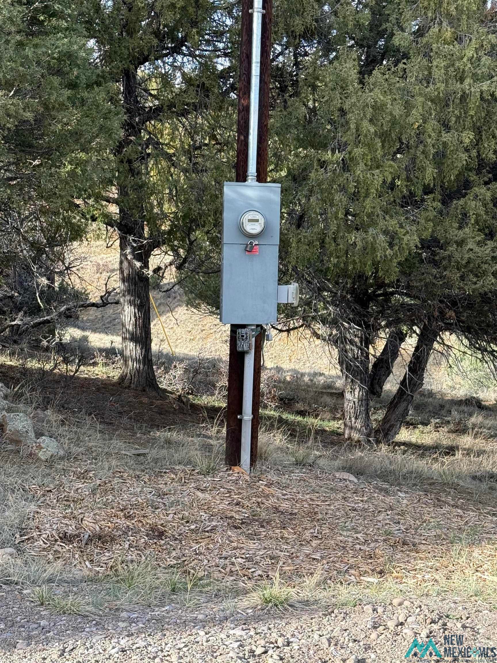 64 Pd 1783c Road Chama, NM 87520 - Photo 6 of 19 Exterior view of electric meter