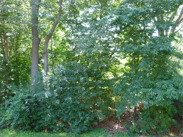 3 Beal's Cove Road, Unit K Hingham, MA 02043 - Photo 11 of 13 Gallery Image 11