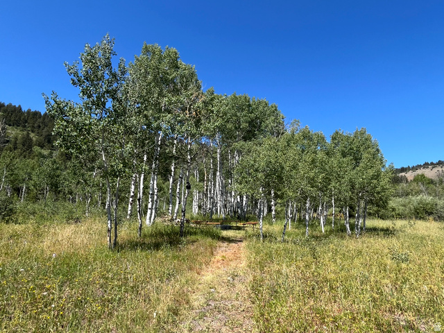 7631 Stauffer Canyon Road Montpelier, ID 83254 - Photo 33 of 35