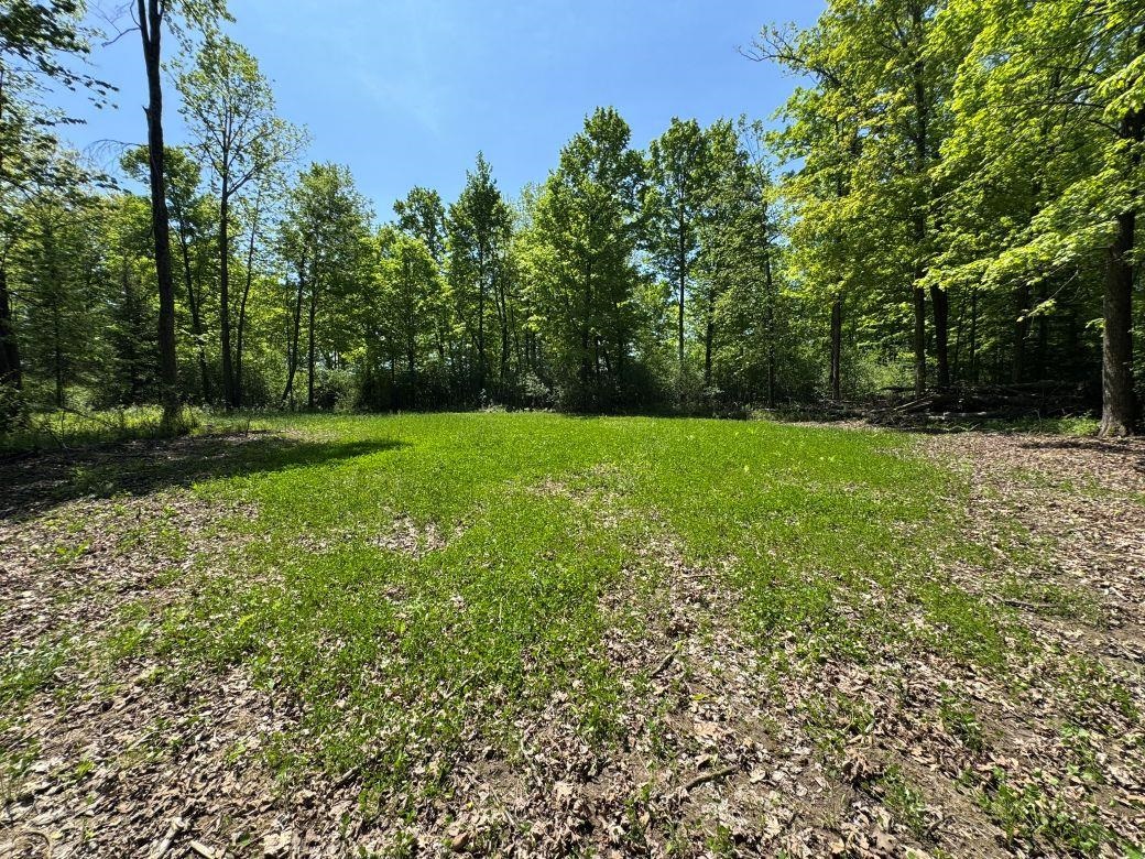 W17810 Eland Road Wittenberg, WI 54499 - Photo 45 of 89
