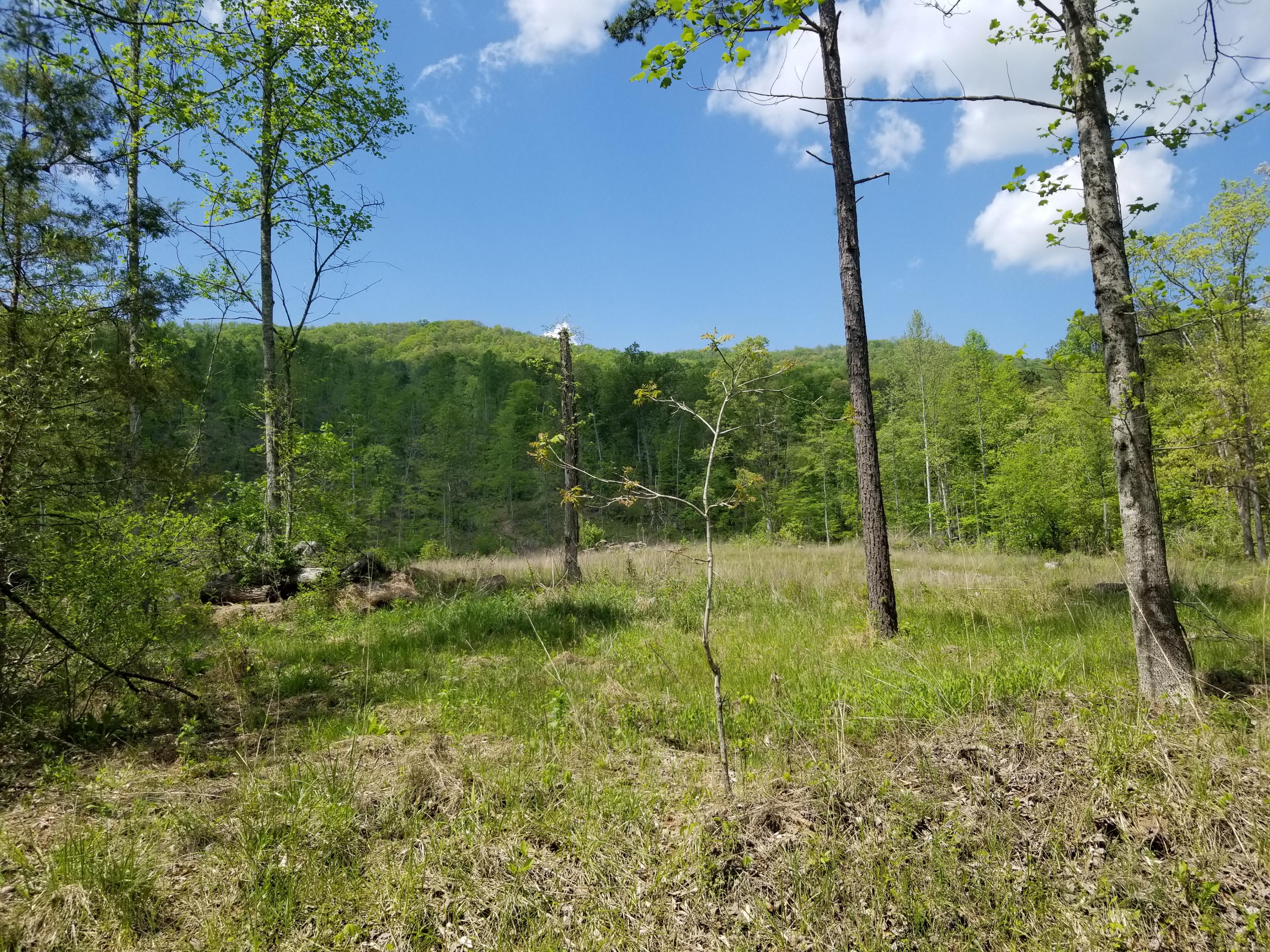 Back Valley Road Blackwater, VA 24221 - Photo 2 of 9 1041215