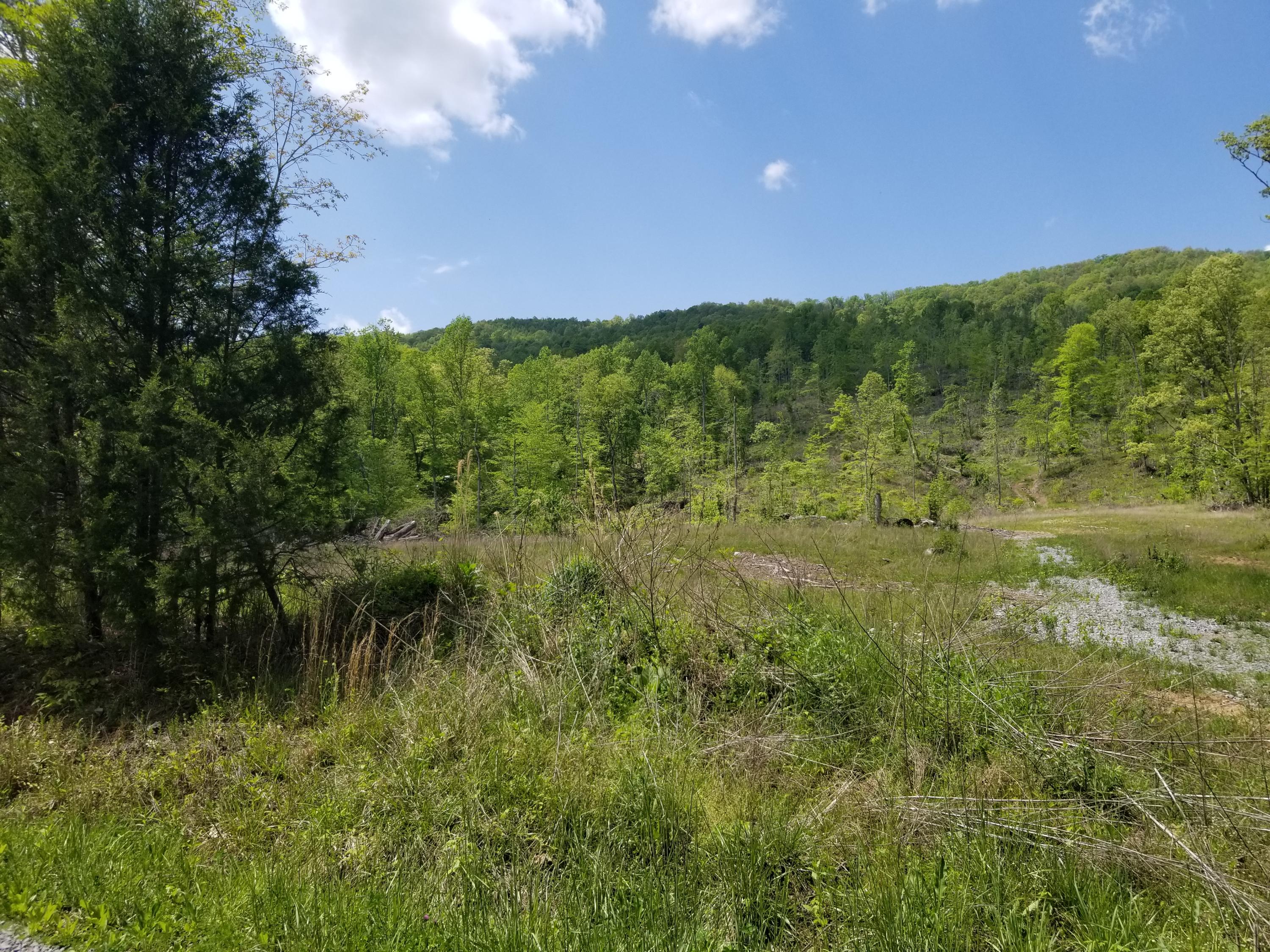 Back Valley Road Blackwater, VA 24221 - Photo 3 of 9 1041215a