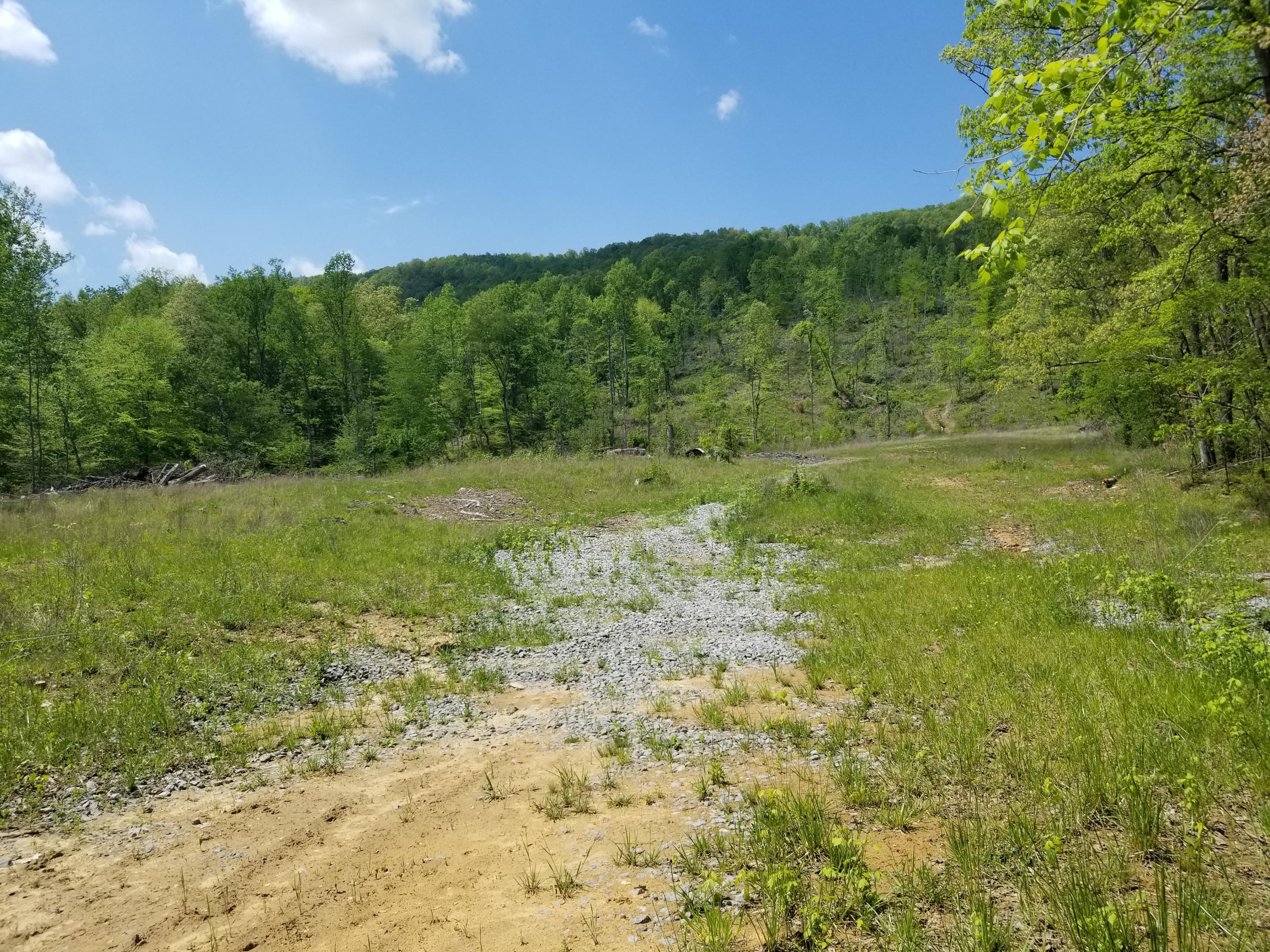 Back Valley Road Blackwater, VA 24221 - Photo 4 of 9 1041215d