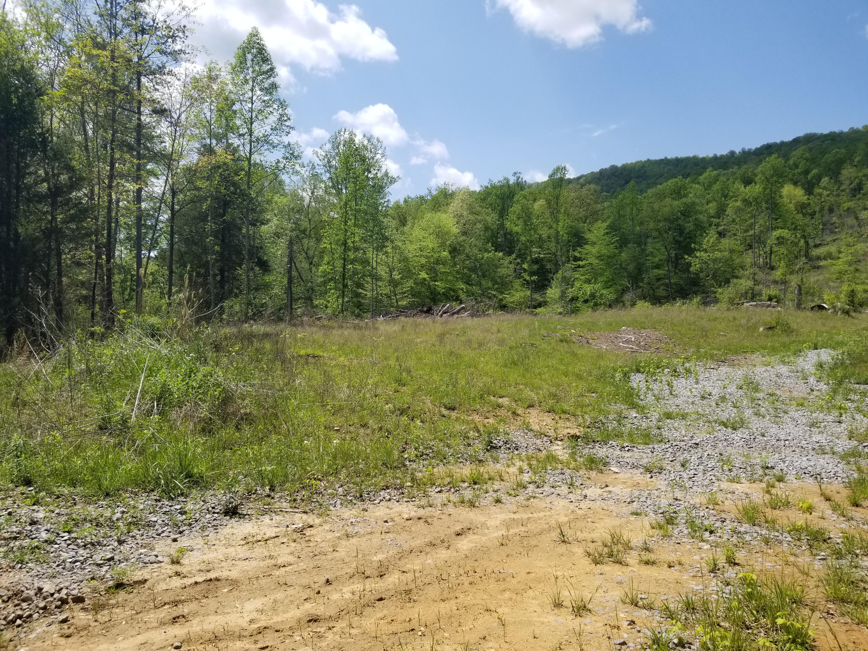Back Valley Road Blackwater, VA 24221 - Photo 5 of 9 1041215e