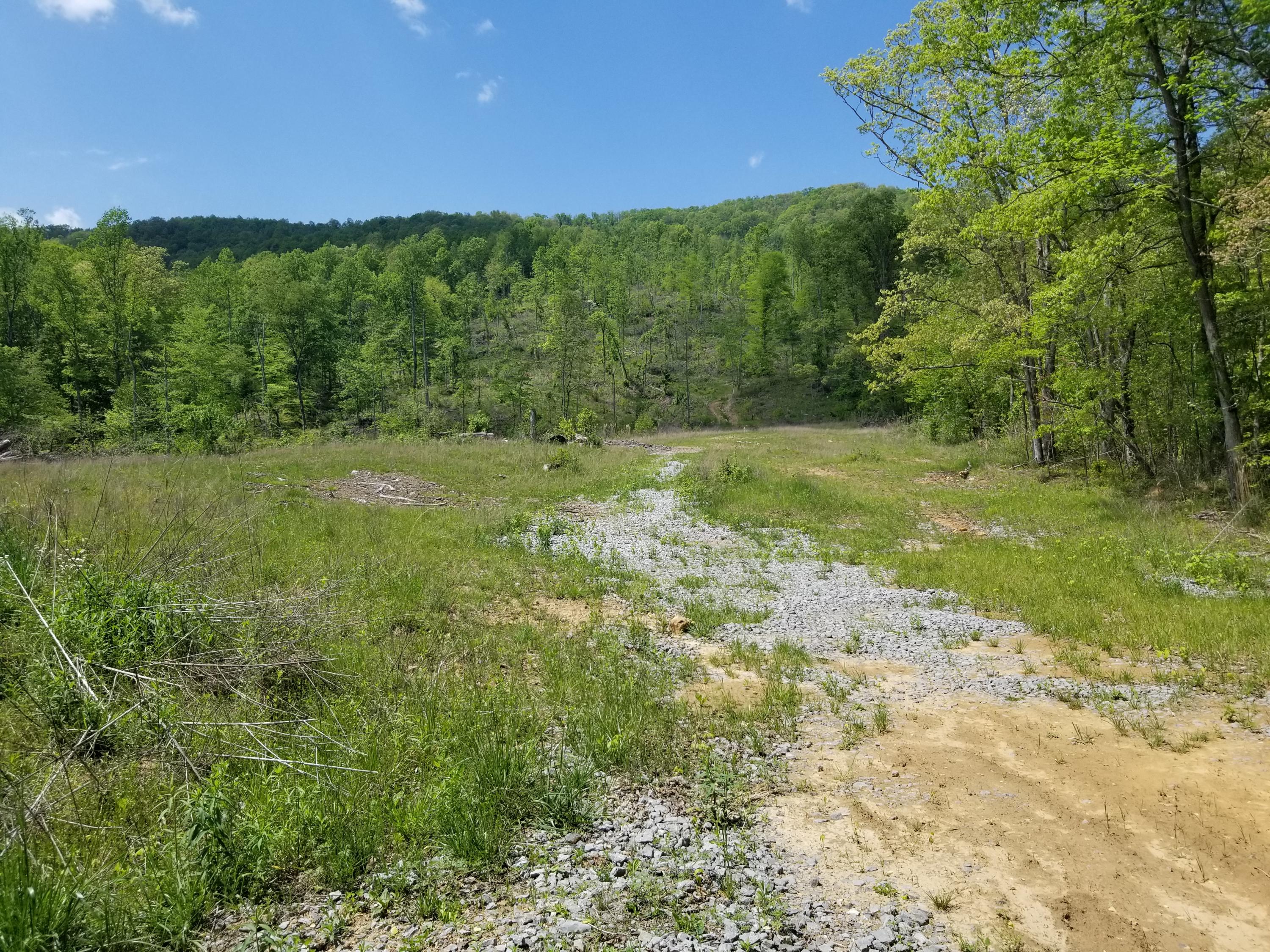Back Valley Road Blackwater, VA 24221 - Photo 6 of 9 1041215b