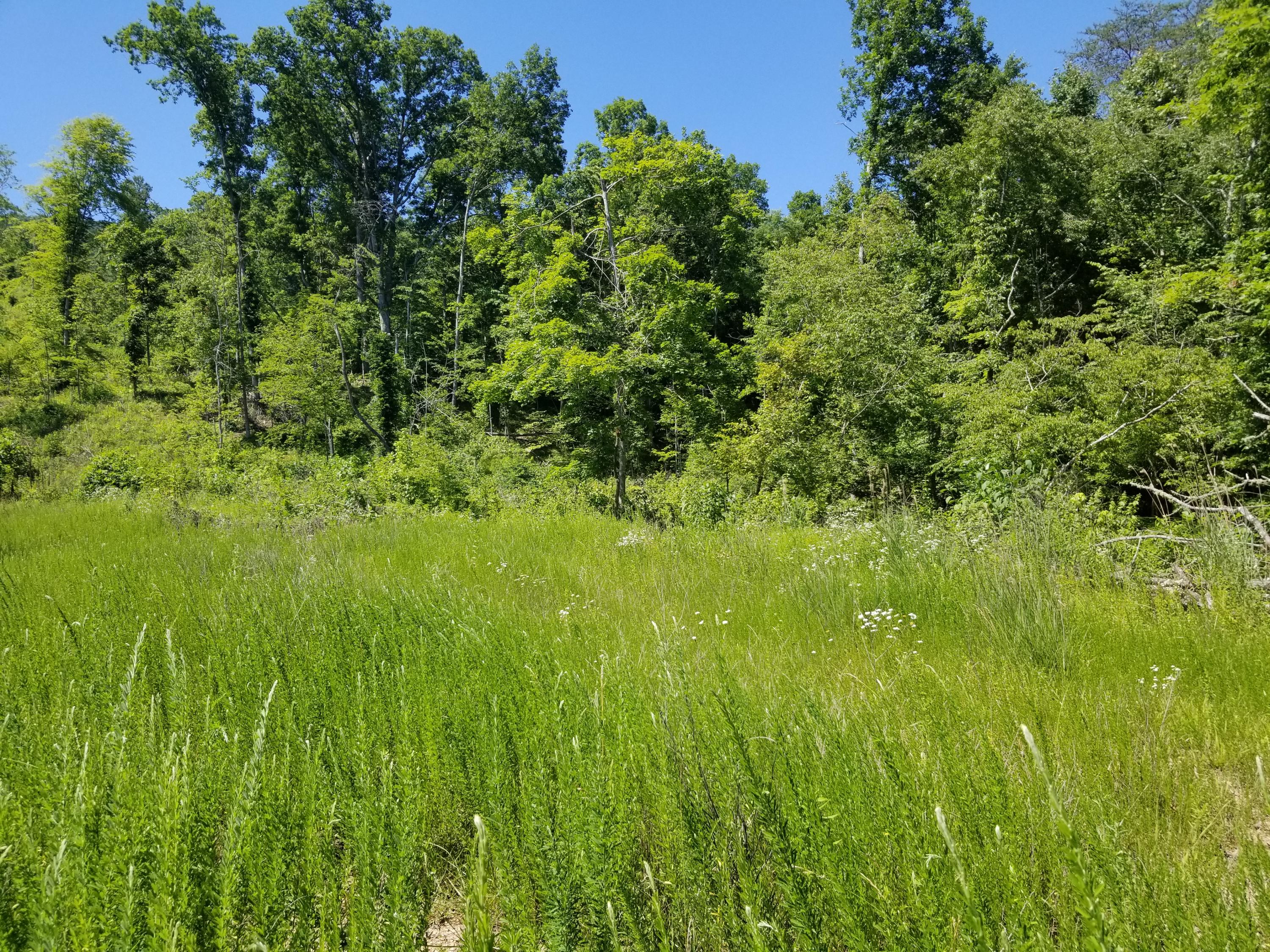 Back Valley Road Blackwater, VA 24221 - Photo 8 of 9 20180616_154303