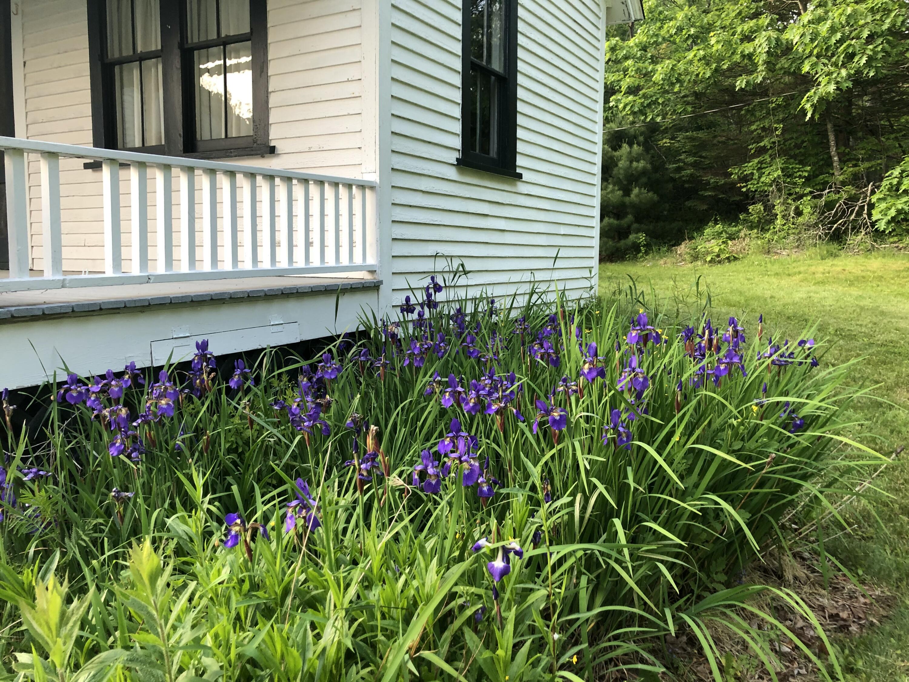 679 Reach Road Sargentville, ME 04673 - Photo 32 of 58 IMG_6809