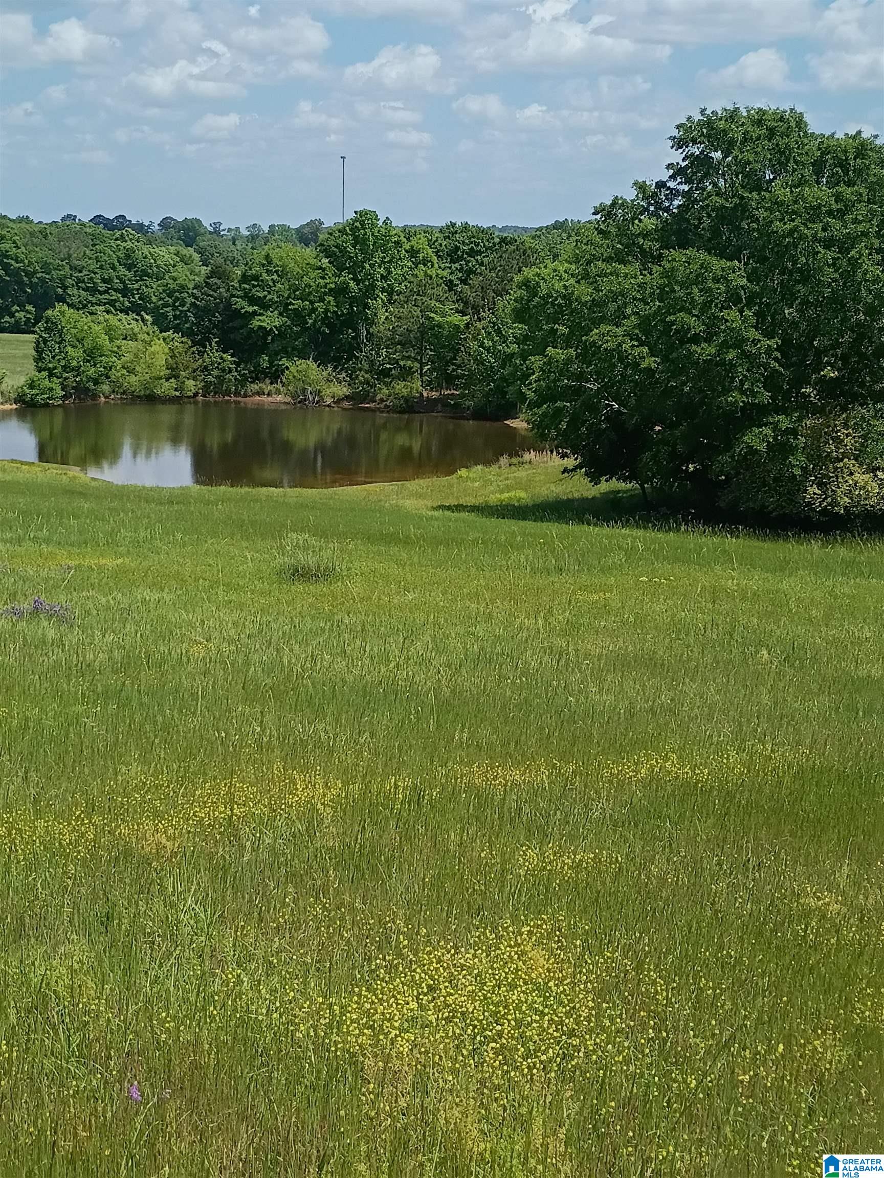 3664 Joe Lee Road Talladega, AL 35160 - Photo 9 of 46