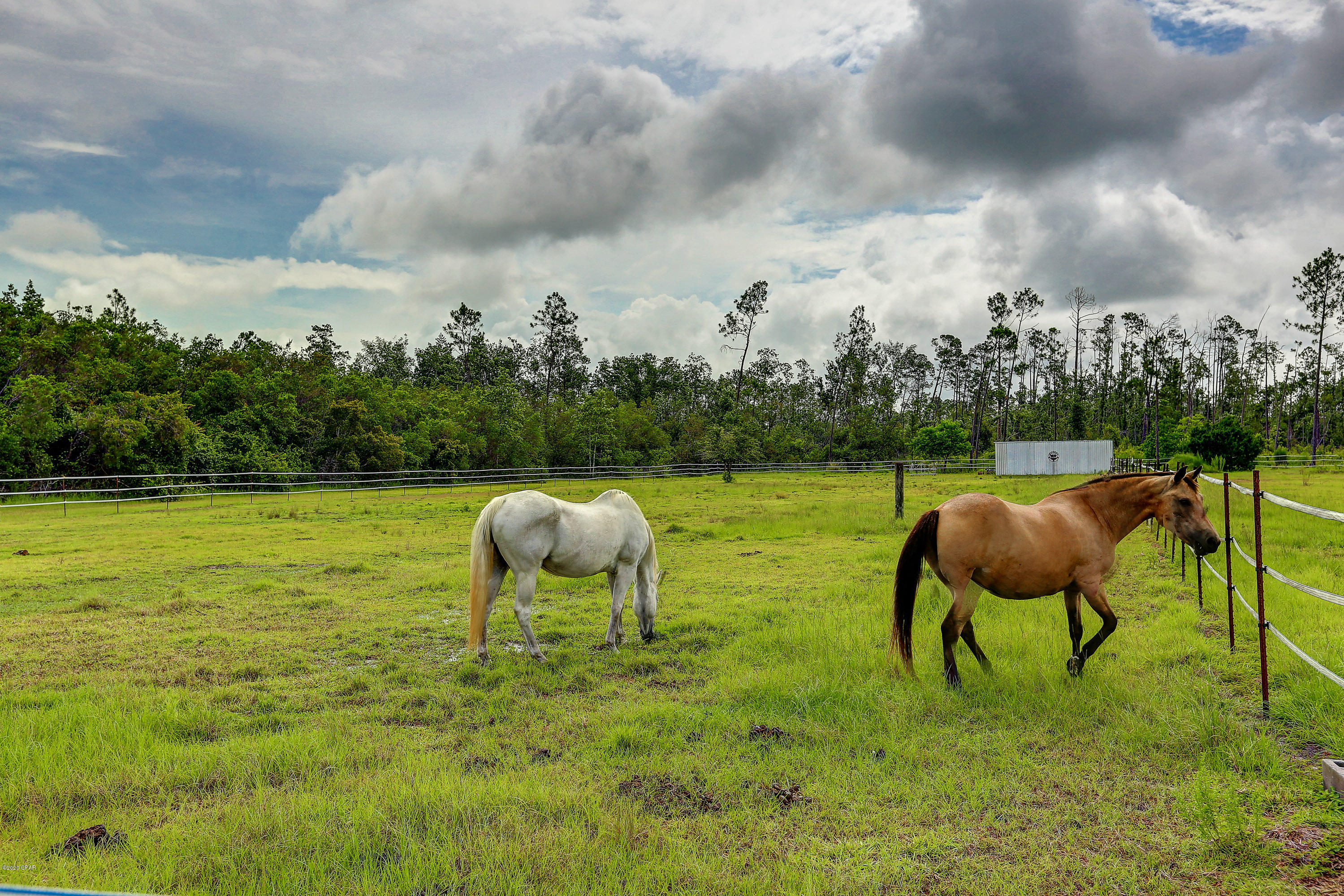 11310 Cowels Road Fountain, FL 32438 - Photo 11 of 40 Gallery Image 11