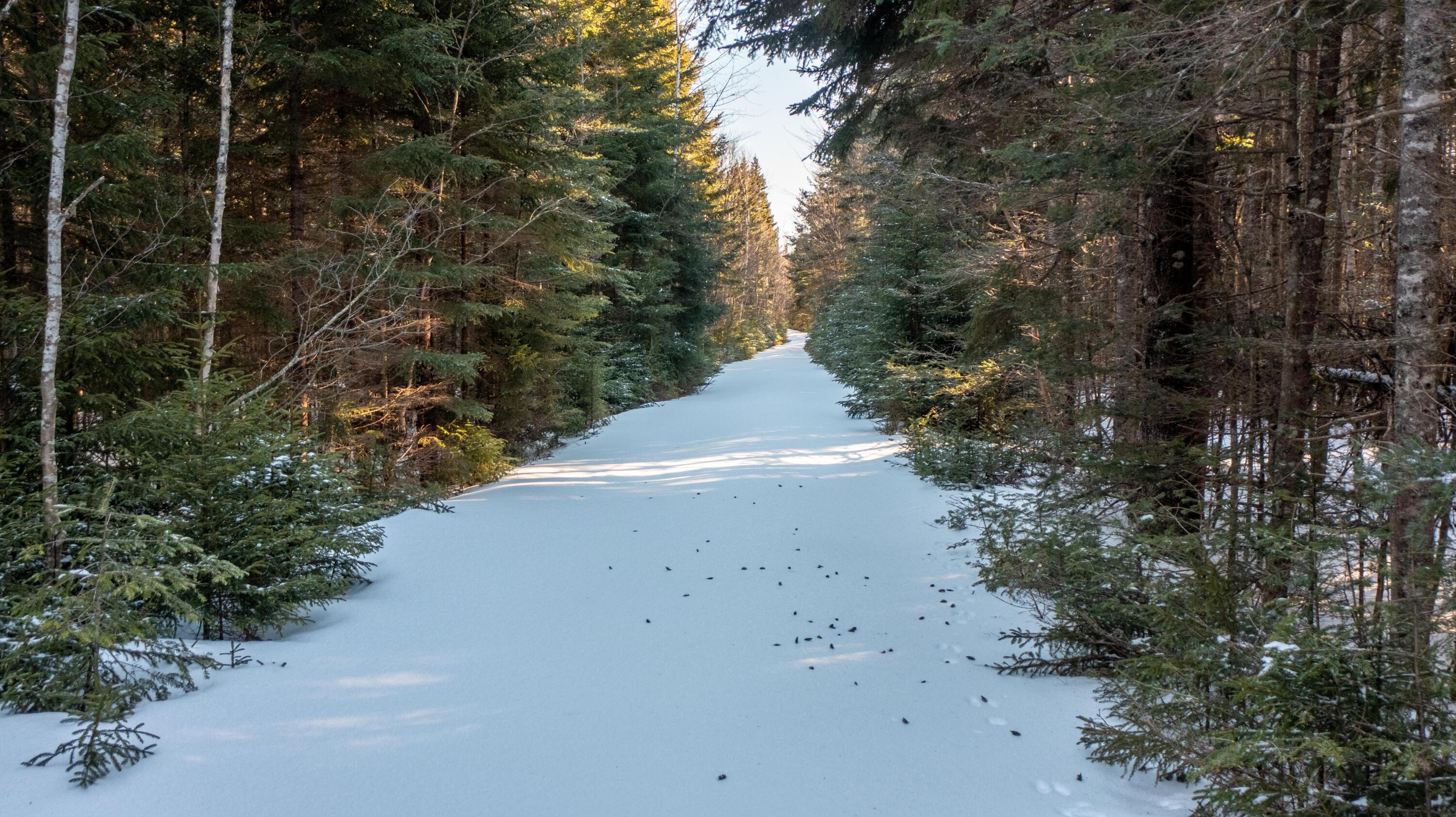 Lot #4 Nepp Point Road Roque Bluffs, ME 04654 - Photo 36 of 62 Lot 4 Nepp Point Rd, Roque Bluffs (10 of