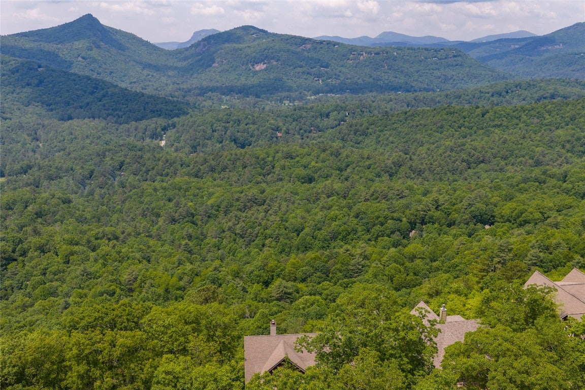 344 Eagle Ridge Road Sapphire, NC 28774 - Photo 100 of 100 Gallery Image 100