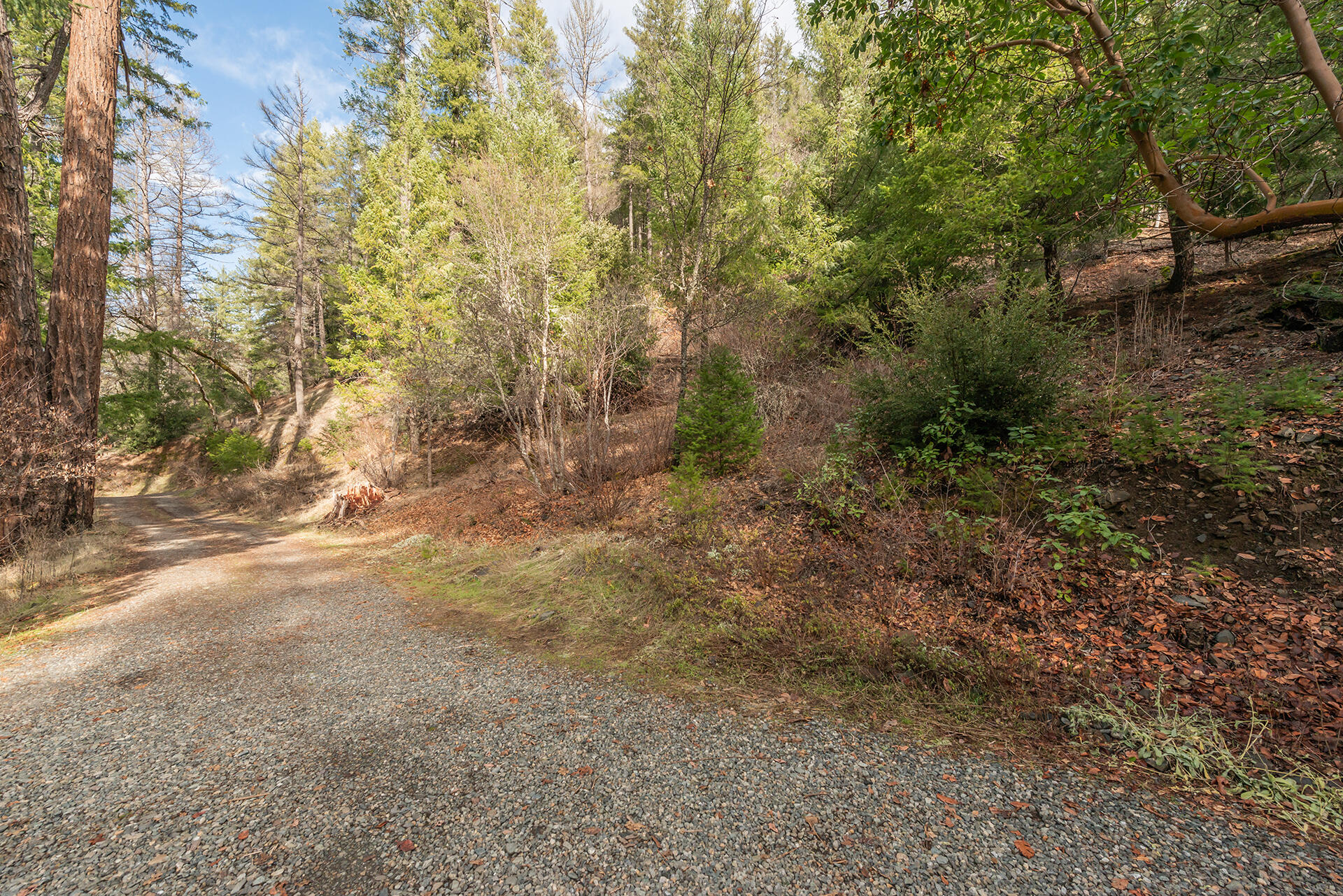 540 Lost Bridge Road Lewiston, CA 96052 - Photo 49 of 67 DSC_5705