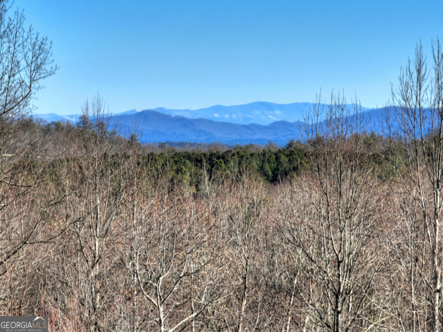 131-132 Pack Creek Road Blue Ridge, GA 30513 - Photo 12 of 21 a view of mountain with trees in the background