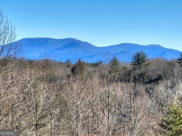131-132 Pack Creek Road Blue Ridge, GA 30513 - Photo 13 of 21 a view of mountains in middle of a forest