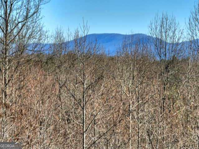 131-132 Pack Creek Road Blue Ridge, GA 30513 - Photo 14 of 21 a view of a yard with a tree