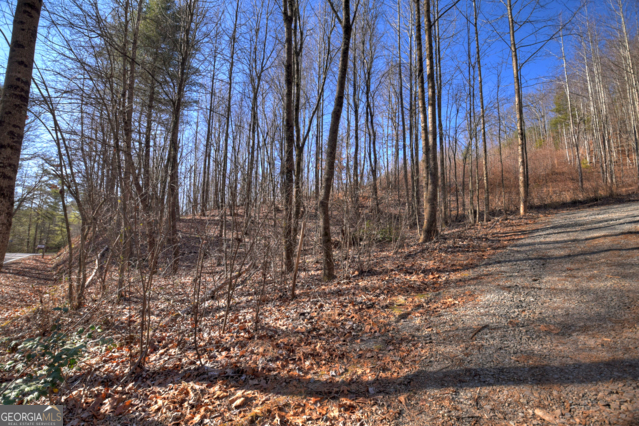 131-132 Pack Creek Road Blue Ridge, GA 30513 - Photo 15 of 21 a view of a backyard with trees