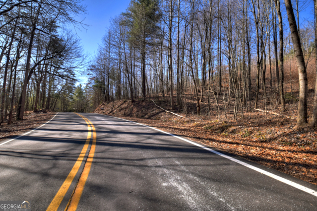 131-132 Pack Creek Road Blue Ridge, GA 30513 - Photo 16 of 21 a view of garden with wooden fence