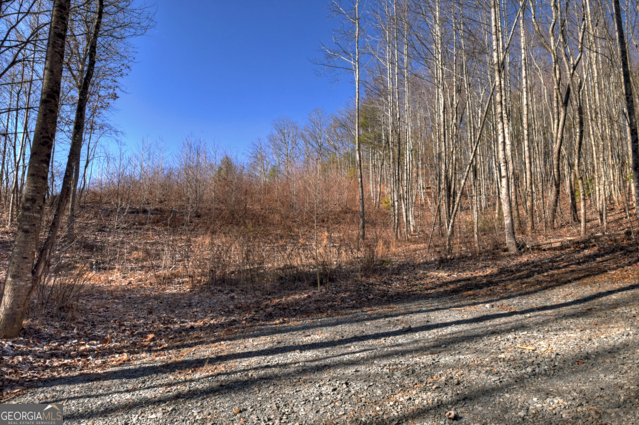 131-132 Pack Creek Road Blue Ridge, GA 30513 - Photo 17 of 21 a view of a backyard