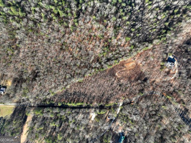 131-132 Pack Creek Road Blue Ridge, GA 30513 - Photo 18 of 21 a view of river covered with tall trees