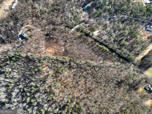 131-132 Pack Creek Road Blue Ridge, GA 30513 - Photo 19 of 21 a view of a dry yard with lots of bushes