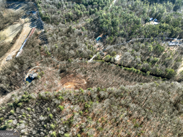 131-132 Pack Creek Road Blue Ridge, GA 30513 - Photo 20 of 21 a view of a forest with lots of trees