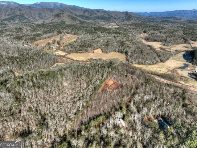 131-132 Pack Creek Road Blue Ridge, GA 30513 - Photo 2 of 21 a view of a dry yard with mountains in the background