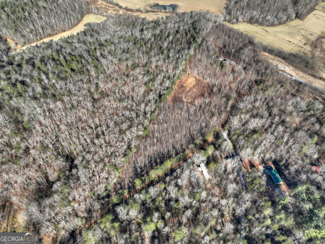 131-132 Pack Creek Road Blue Ridge, GA 30513 - Photo 21 of 21 a view of a yard with a tree