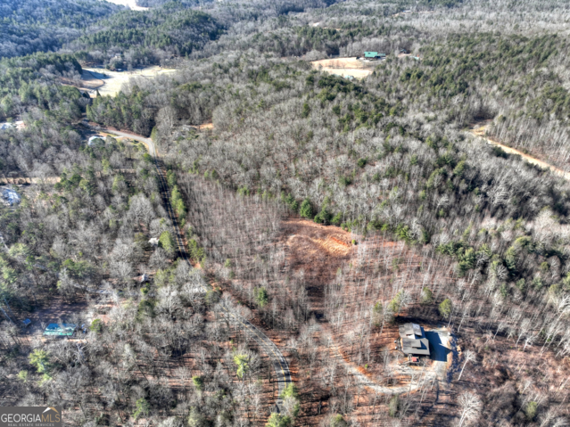 131-132 Pack Creek Road Blue Ridge, GA 30513 - Photo 6 of 21