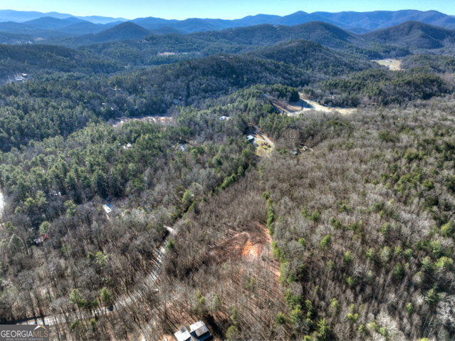 131-132 Pack Creek Road Blue Ridge, GA 30513 - Photo 7 of 21 a view of a lush green forest with trees in the background