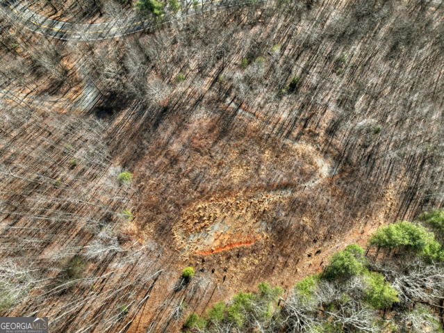 131-132 Pack Creek Road Blue Ridge, GA 30513 - Photo 9 of 21 a view of a yard