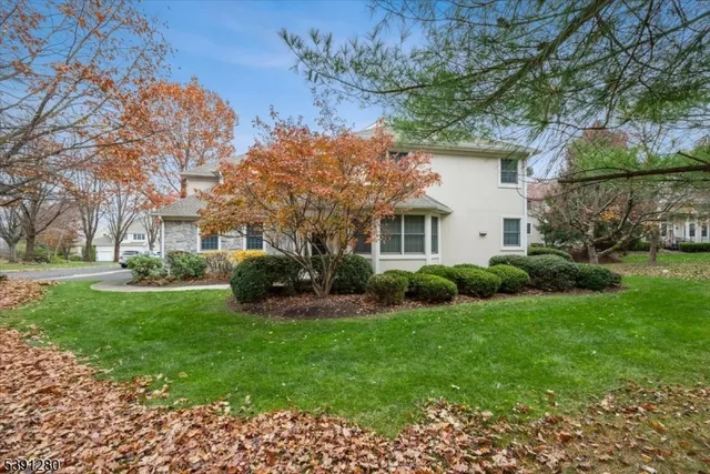 a view of a house with a yard and potted plants