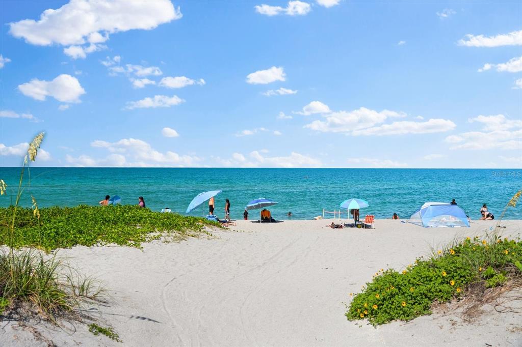 8625 Midnight Pass Road, Unit 304B Sarasota, FL 34242 - Photo 55 of 97 Let's look for seashells