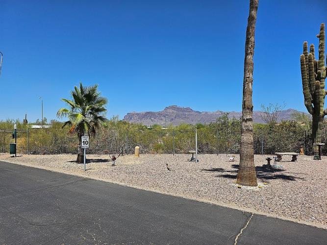 2605 South Tomahawk Road Apache Junction, AZ 85119 - Photo 11 of 14