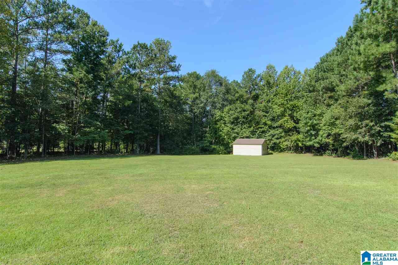 262 Dorough Road Columbiana, AL 35051 - Photo 45 of 46