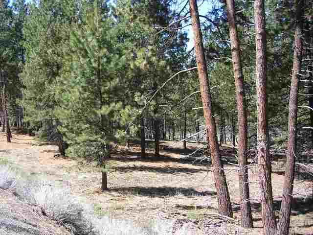 0 Twin Rivers View Chiloquin, OR 97624 - Photo 4 of 5 Additional Photo