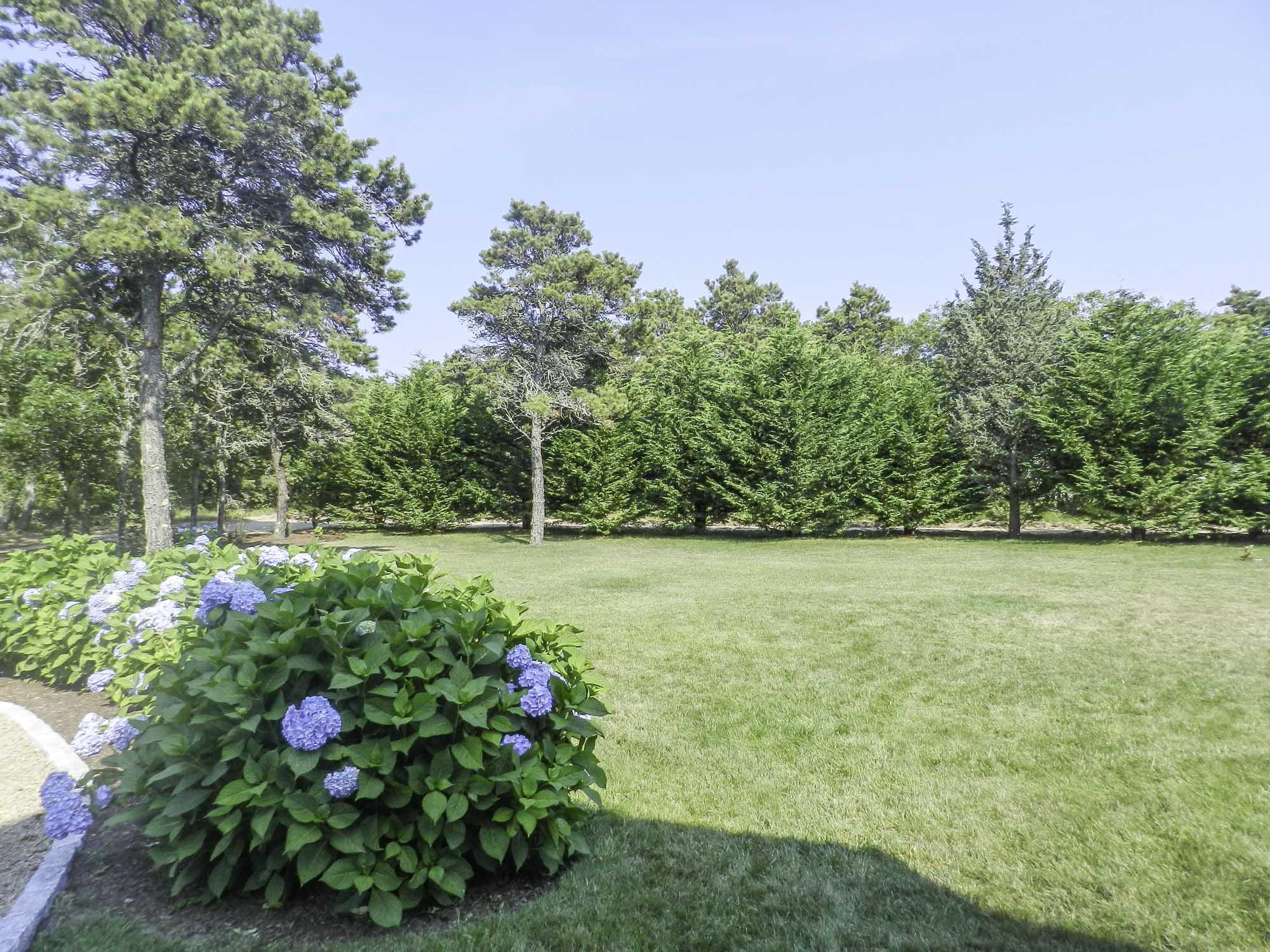 10 Proprietors Road Edgartown, MA 02539 - Photo 3 of 18 SandpiperRentals_2923-2