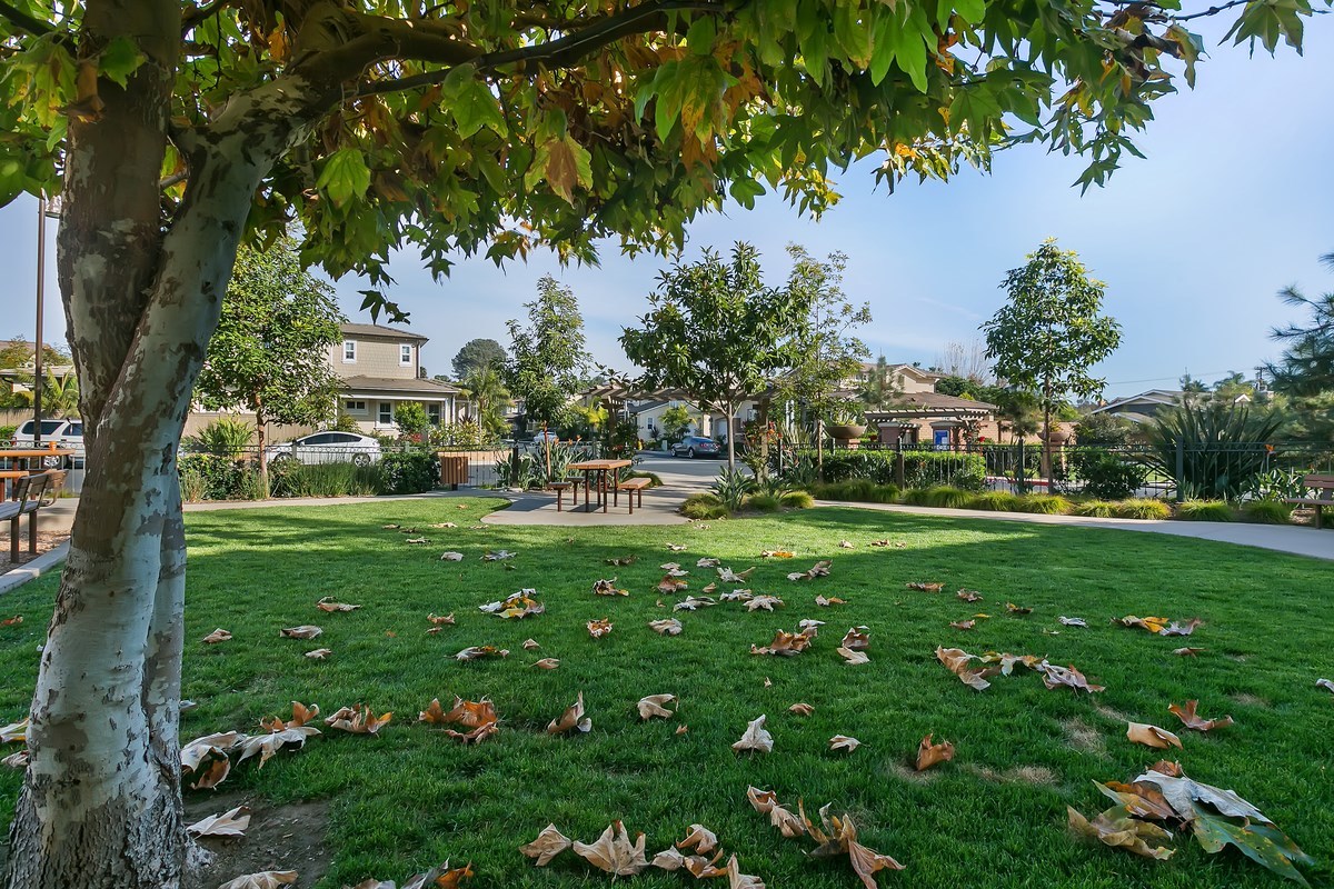 145 Stonesteps Way Encinitas, CA 92024 - Photo 20 of 25