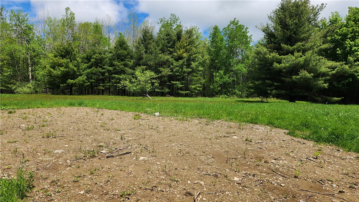 6291 Burke Road Prattsburgh, NY 14873 - Photo 11 of 41